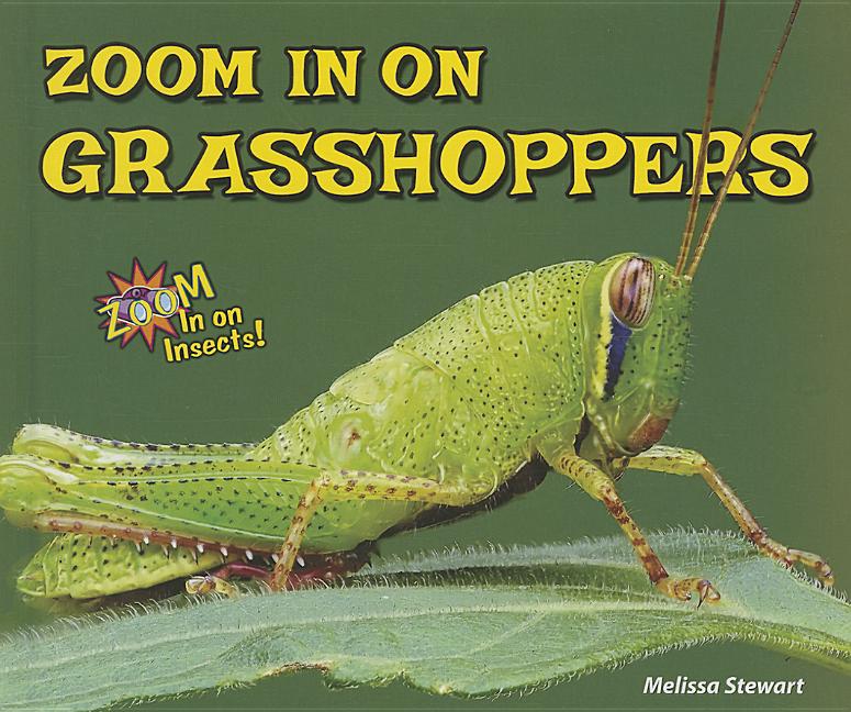 Zoom in on Grasshoppers